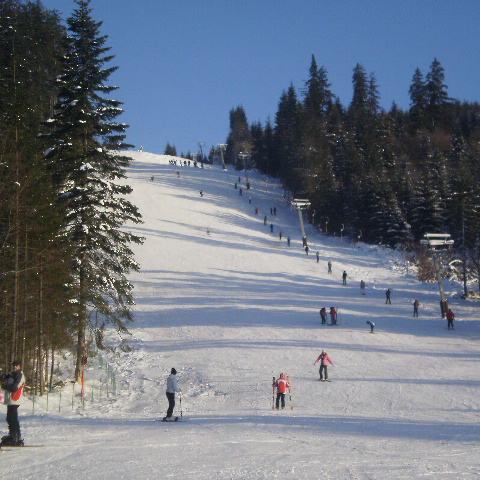 Partia de schii Remeny